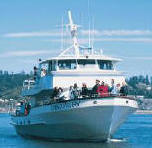 Ocean excursions out of Newport, great fun for the whole family